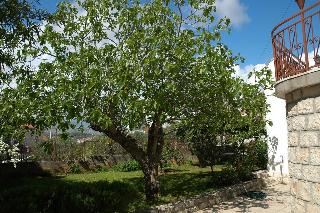 Villa Agnic Trogir Extérieur photo