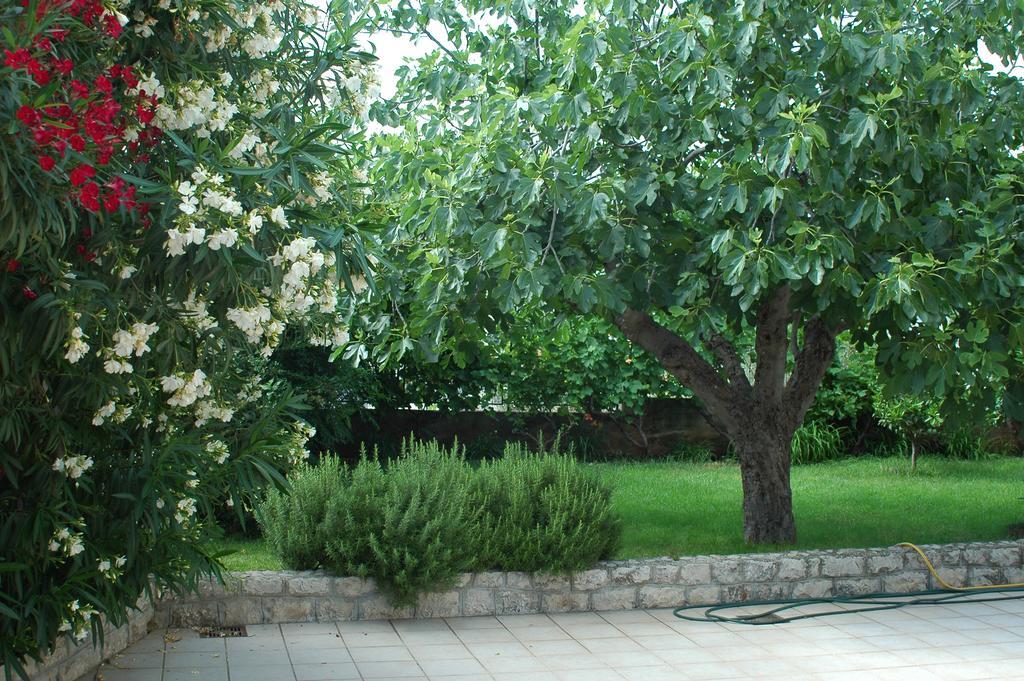 Villa Agnic Trogir Extérieur photo